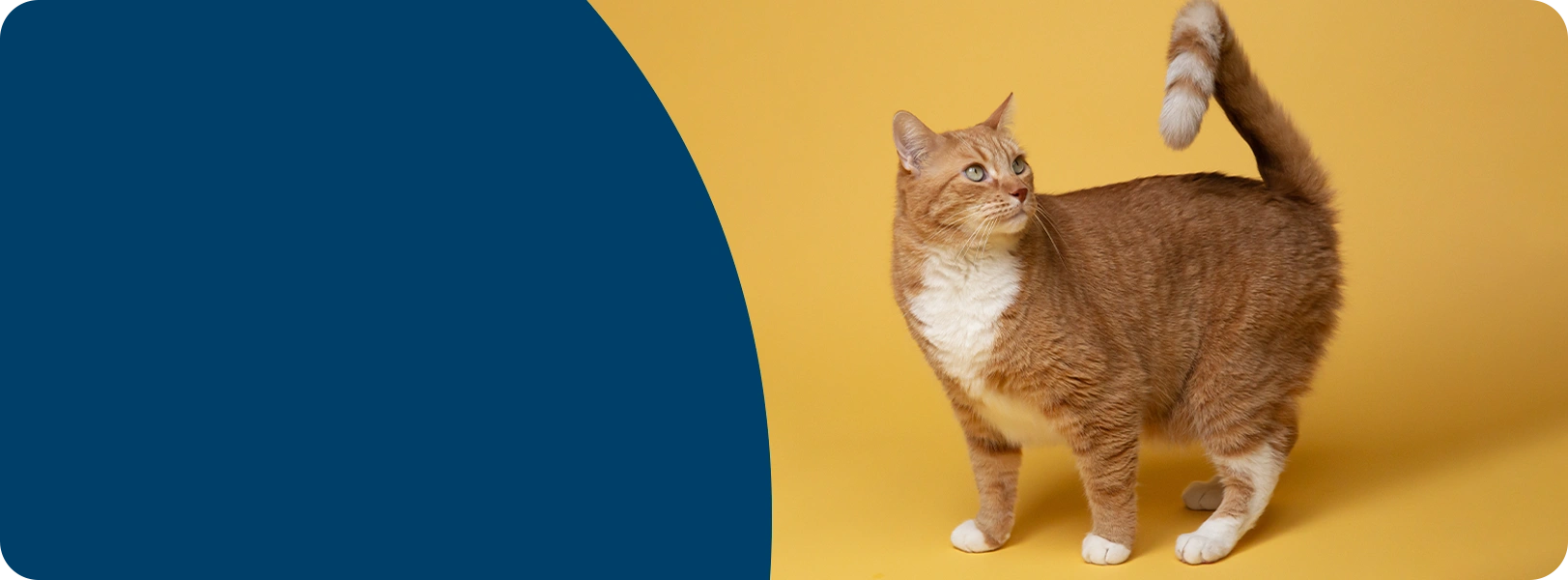 Exceptional care, extraordinary services.